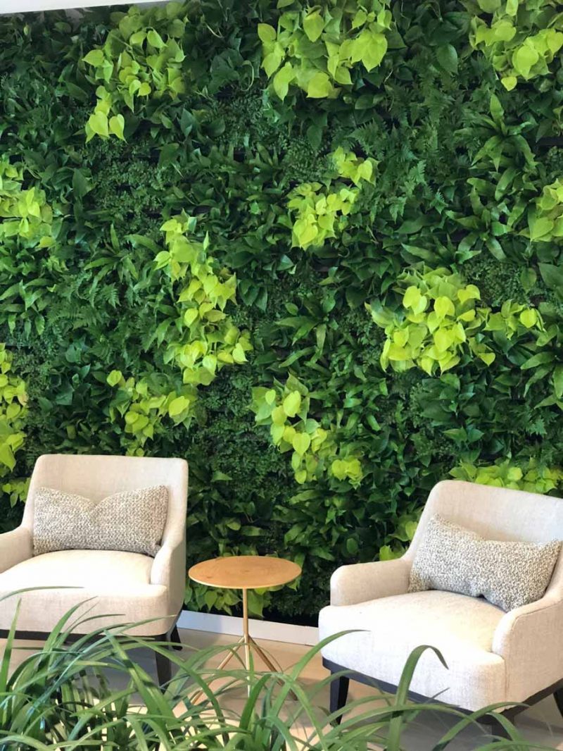 Living Walls - Cityscapes