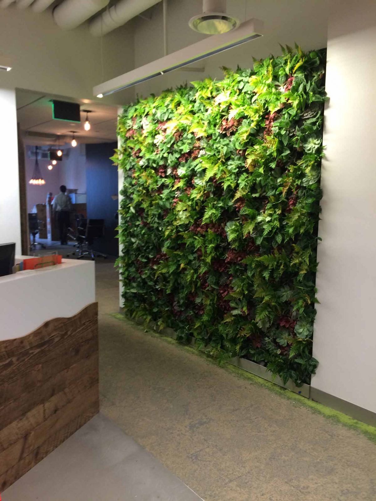 Обои living walls