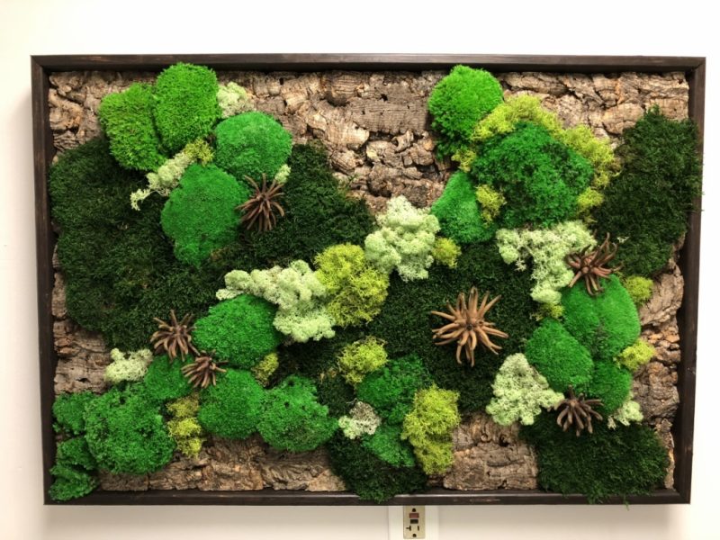 Preserved Moss Walls Cityscapes