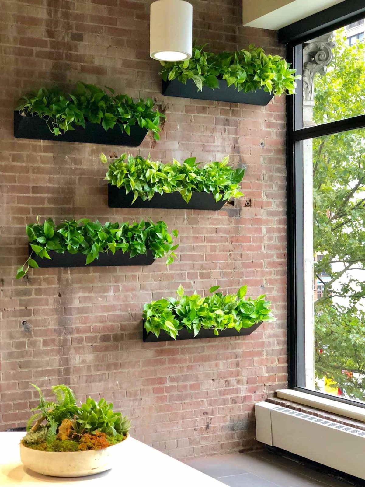 Обои living walls