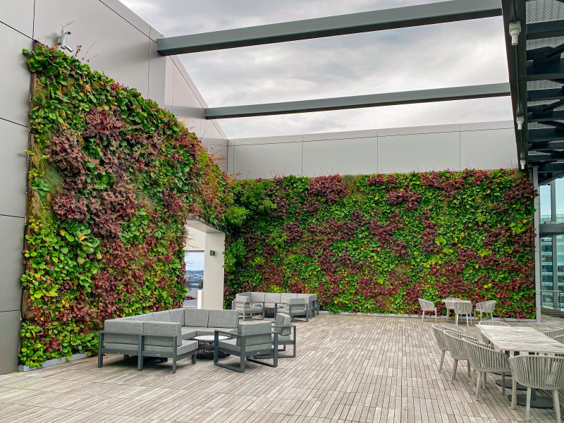 Living Walls - Cityscapes