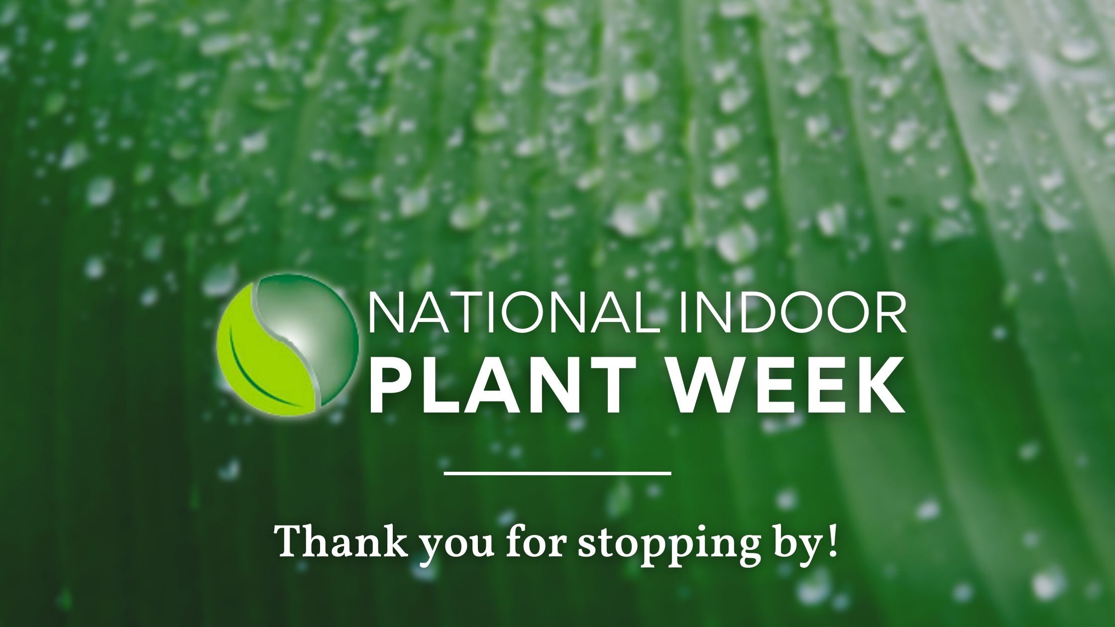 National Indoor Plant Week Full Width Cityscapes