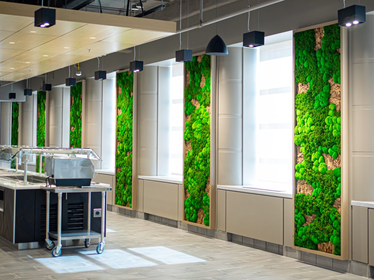 Preserved Moss Walls - Cityscapes
