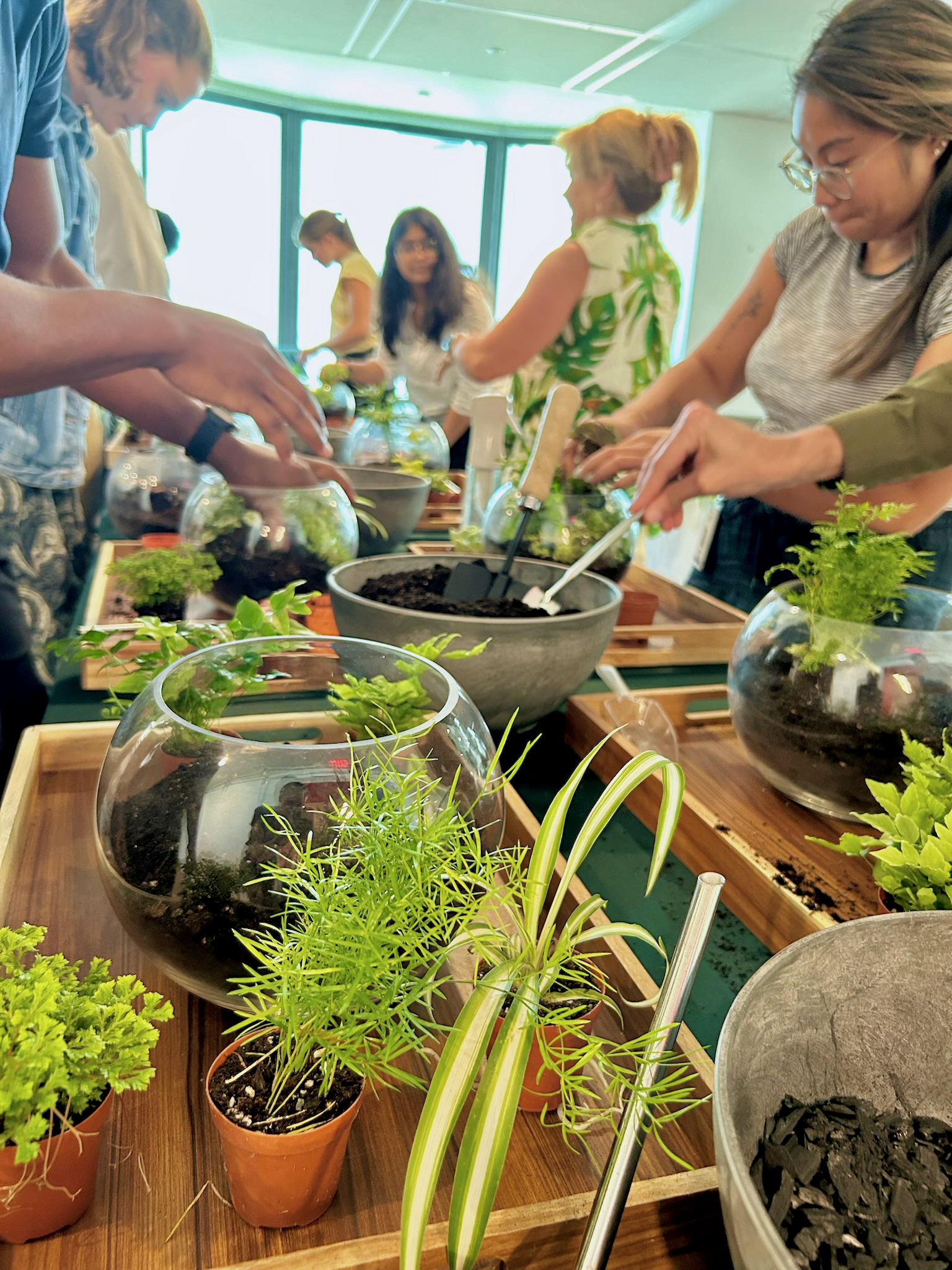 plant party