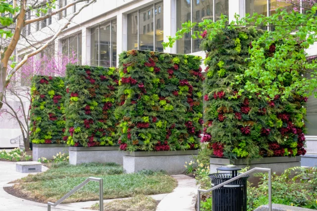 Our team refreshed these outdoor living walls with a bold palette of junipers, coleus, and ferns. A statement focal point, these walls are open to the public and serve as a space for respite in the heart of Back Bay.