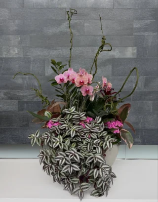 Custom designed for each space, these arrangements are curated and planted in-house by our team of botanical designers. Reach out and make the most of each season with a rotating pop of color from our orchid rotations.
