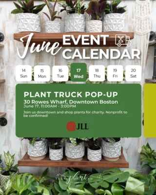 June happenings on the truck and plant shop! 🌻

EDIT: 6/17 nonprofit is @savetheharbor!

Our plant truck will be popping up twice this month in downtown Boston at 30 Rowes Wharf, and in Back Bay at 699 Boylston St. Check back for nonprofit updates!

We’re bringing back @sofarboston to Sprout for their intimate concert series 🎶 Come celebrate the summer solstice and discover your new favorite artist.

We’ll also be hosting a Kokedama workshop at Sprout. Come learn the art of Kokedama (a moss ball form of bonsai), and make your own to take home. Tickets are linked in bio!